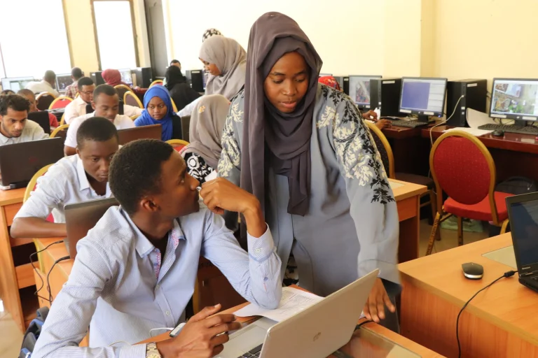 Two Hundred Subwards of Dar es Salaam to be Mapped by University Students in the Next Six Weeks