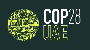 Transformative climate services for decision-makers based on observational data