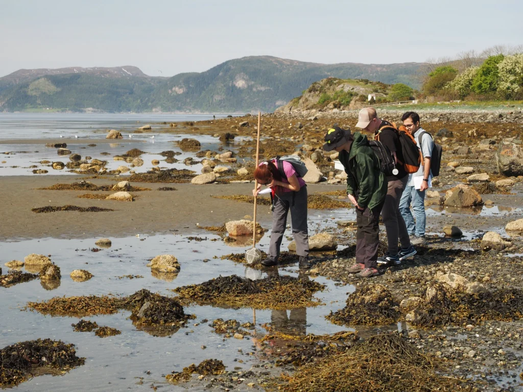 Building climate agency through geospatial and challenge-based learning – reflections of the Shape2Gether project