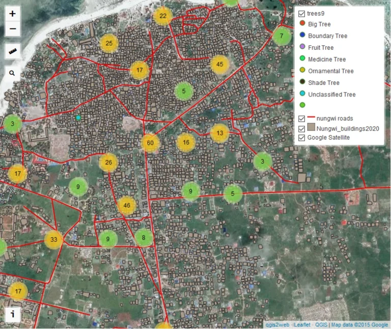 Visualization of urban tree distribution and its importance for urban forestry management — Nungwi, Zanzibar