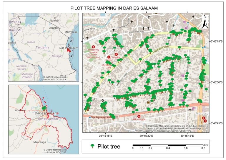 Visualization of urban tree distributions and suitable areas for planting, Dar es Salaam