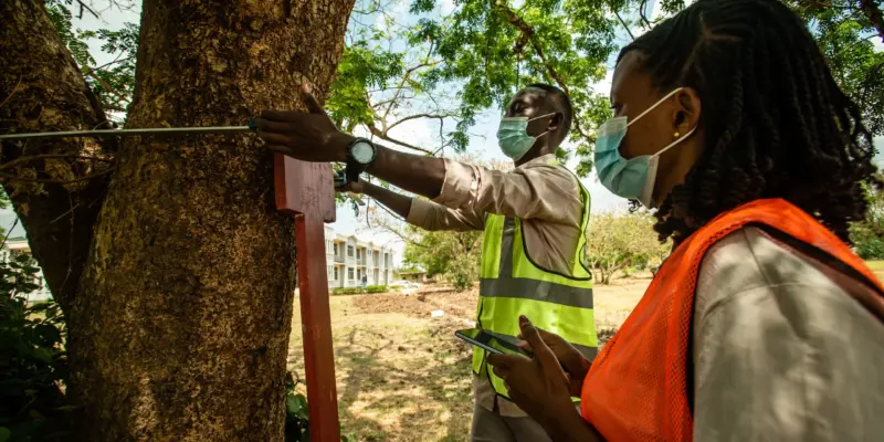 Urban Greening &amp; Tree Mapping